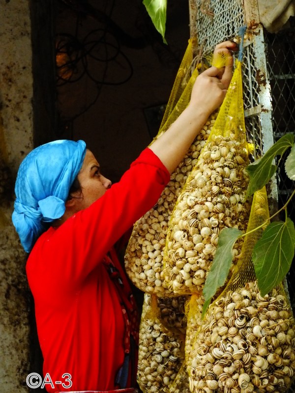 ©Alejandra Aristizabal, 2014