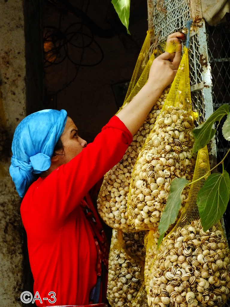 ©Alejandra Aristizabal, 2014