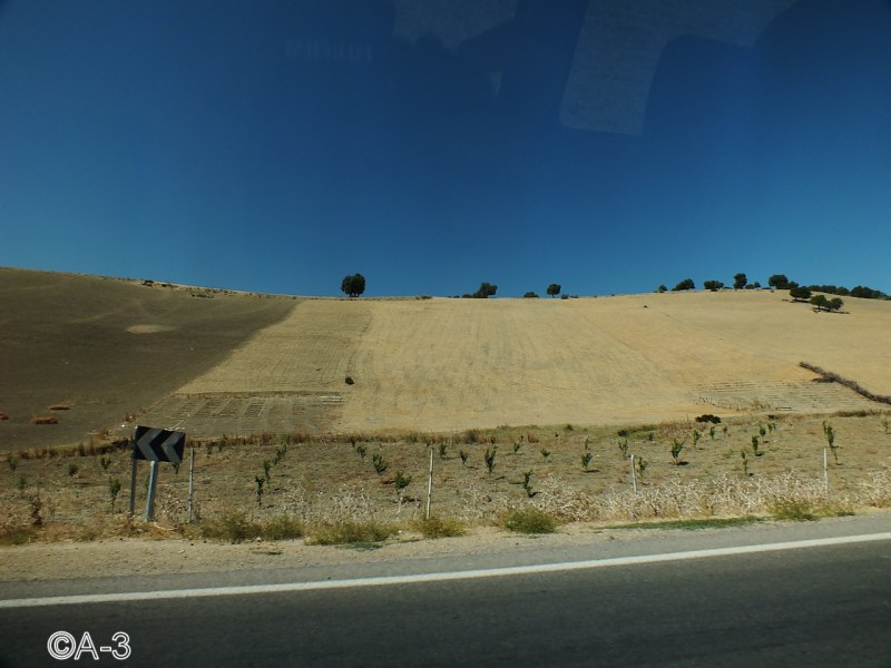 ©Alejandra Aristizabal, 2014