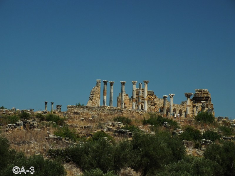 ©Alejandra Aristizabal, 2014