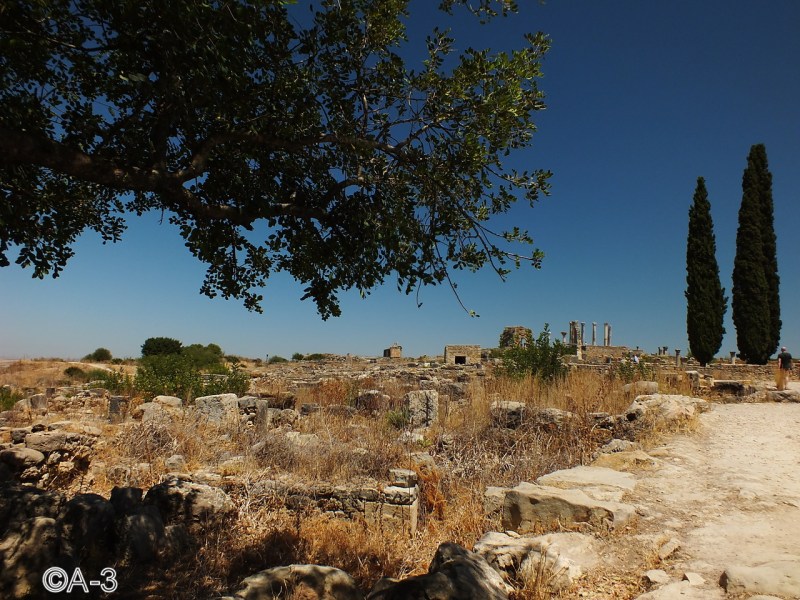 ©Alejandra Aristizabal, 2014