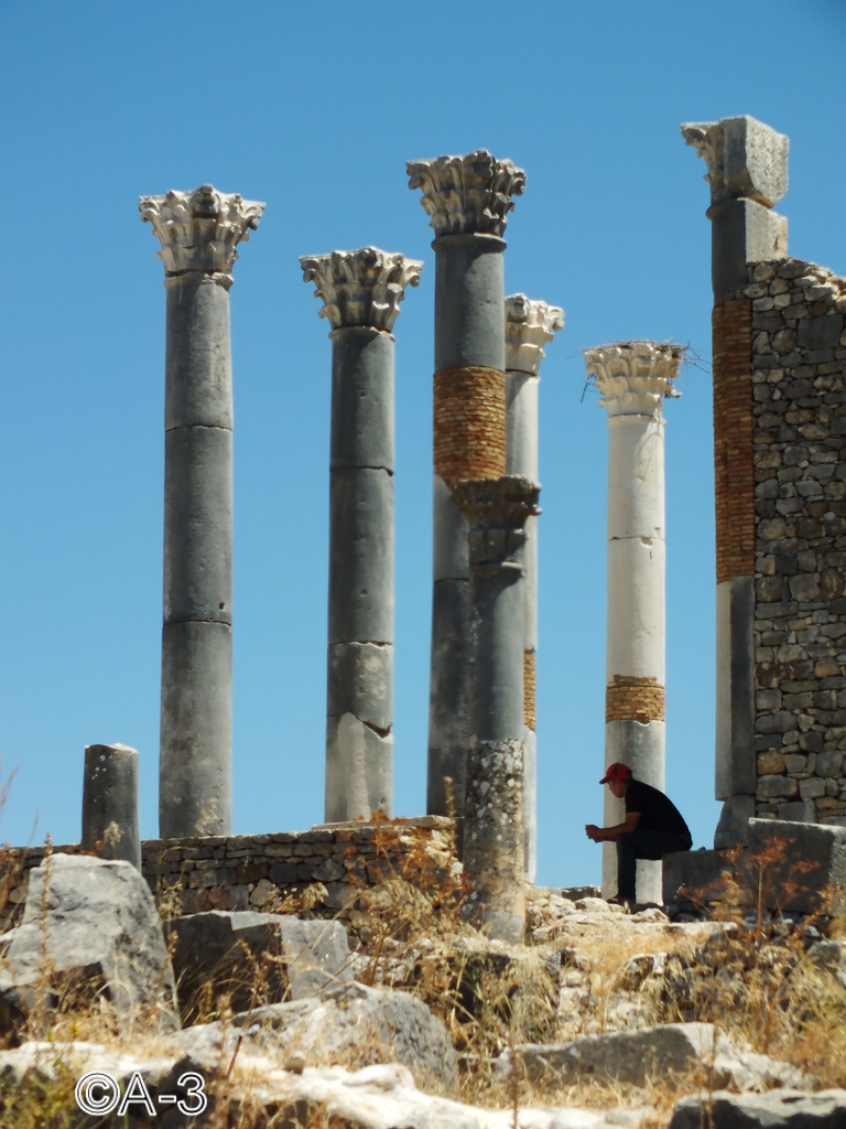 ©Alejandra Aristizabal, 2014