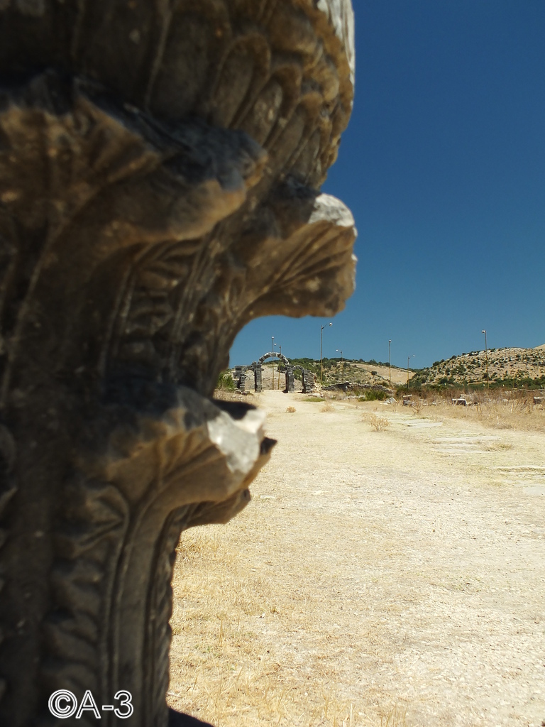 ©Alejandra Aristizabal, 2014