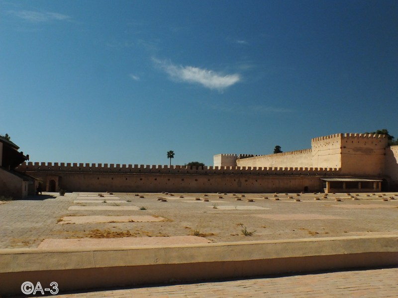 ©Alejandra Aristizabal, 2014