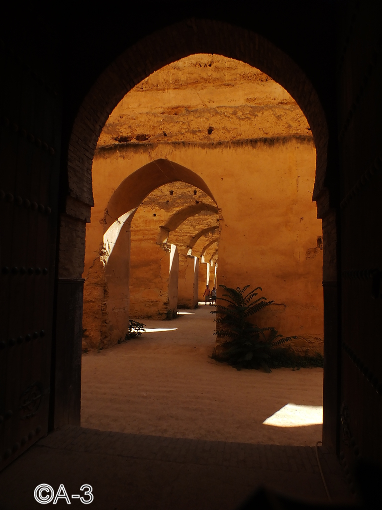 ©Alejandra Aristizabal, 2014