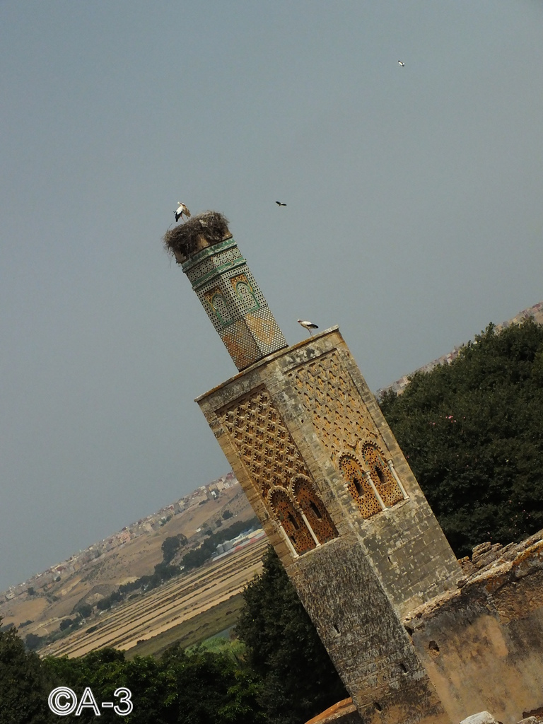 ©Alejandra Aristizabal, 2014