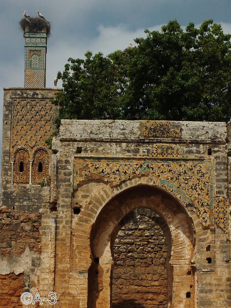 ©Alejandra Aristizabal, 2014