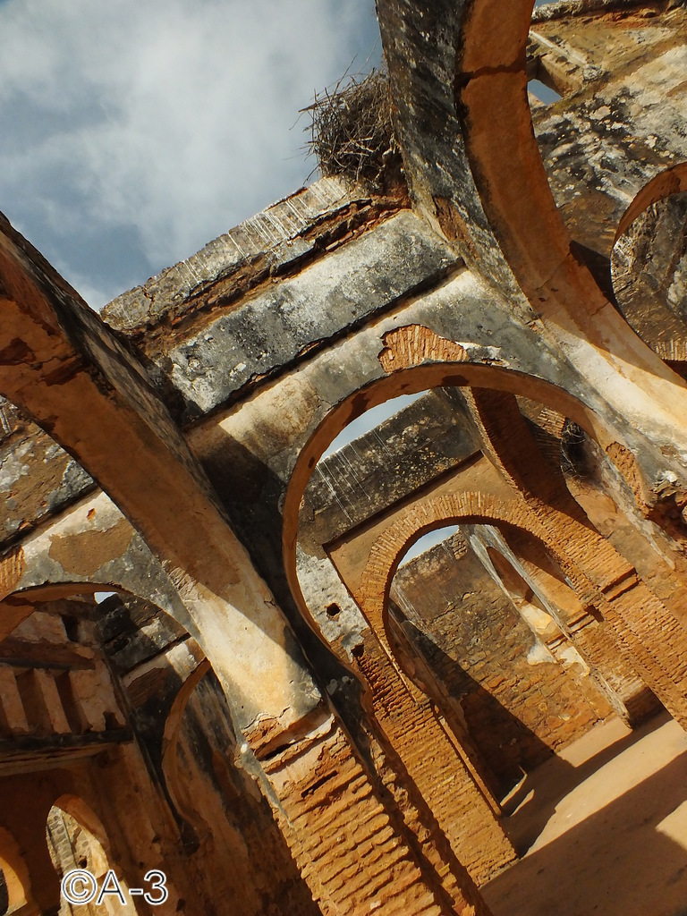 ©Alejandra Aristizabal, 2014